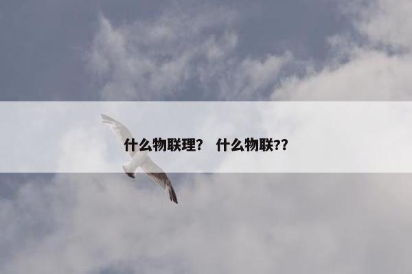 什么物联理? 什么物联?? 什么物联理? 什么物联??