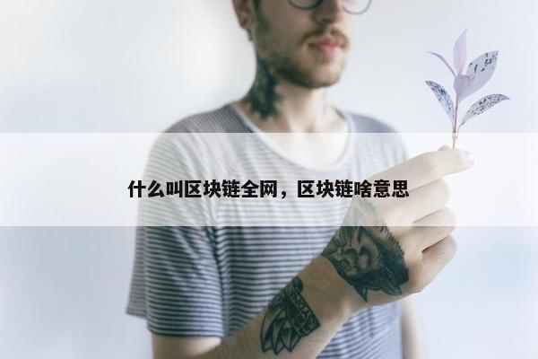 什么叫区块链全网,区块链啥意思 什么叫区块链全网,区块链啥意思