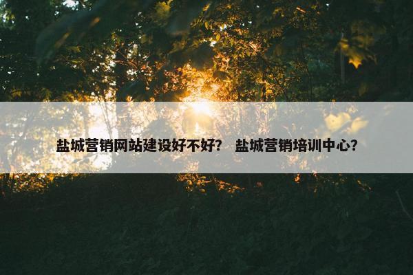 盐城营销网站建设好不好？ 盐城营销培训中心？