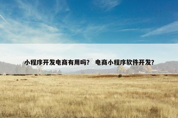小程序开发电商有用吗? 电商小程序软件开发? 小程序开发电商有用吗? 电商小程序软件开发?