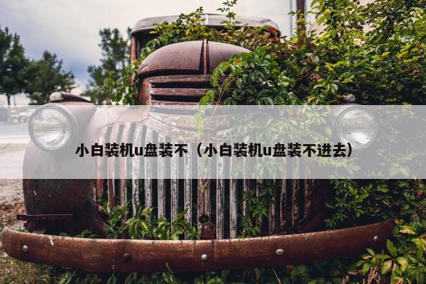 小白装机u盘装不（小白装机u盘装不进去）