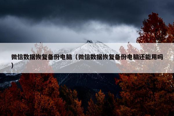 微信数据恢复备份电脑（微信数据恢复备份电脑还能用吗）
