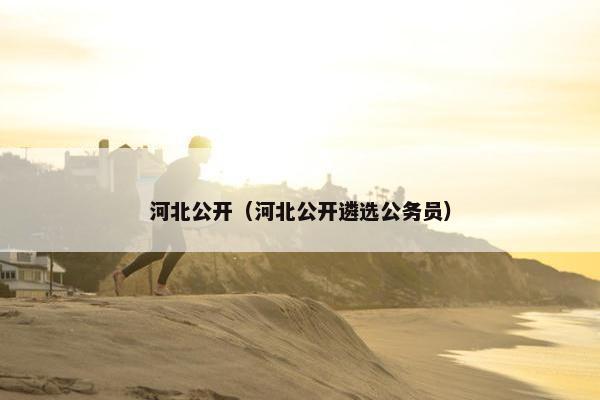 河北公开（河北公开遴选公务员）
