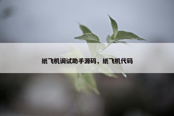 纸飞机调试助手源码，纸飞机代码