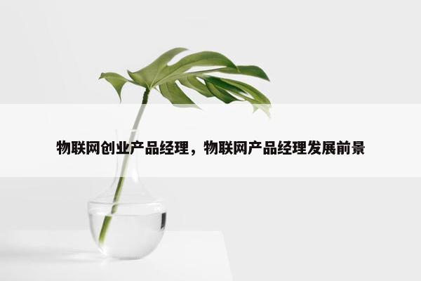 物联网创业产品经理，物联网产品经理发展前景