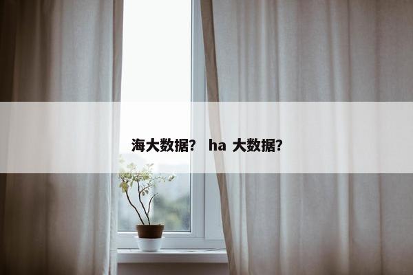 海大数据？ ha 大数据？