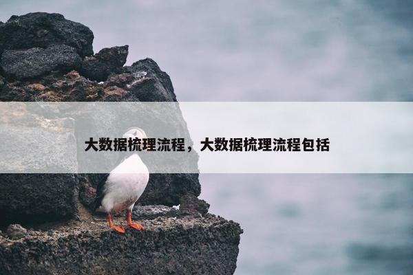 大数据梳理流程，大数据梳理流程包括