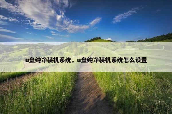 u盘纯净装机系统，u盘纯净装机系统怎么设置