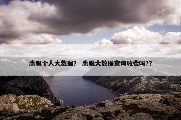 鹰眼个人大数据？ 鹰眼大数据查询收费吗?？