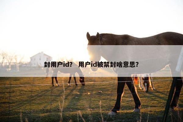 封用户id？ 用户id被禁封啥意思？
