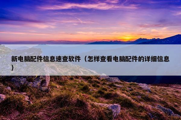 新电脑配件信息速查软件（怎样查看电脑配件的详细信息）