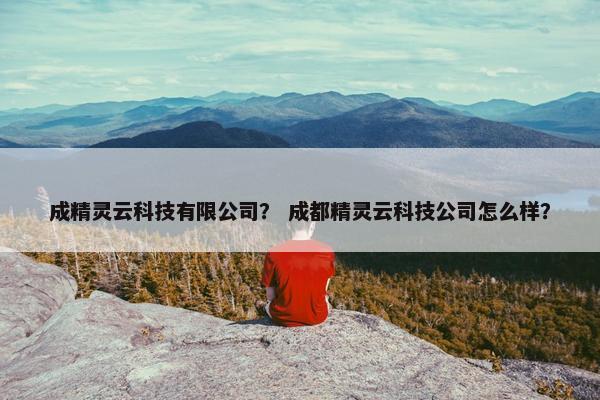 成精灵云科技有限公司？ 成都精灵云科技公司怎么样？