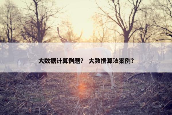 大数据计算例题？ 大数据算法案例？