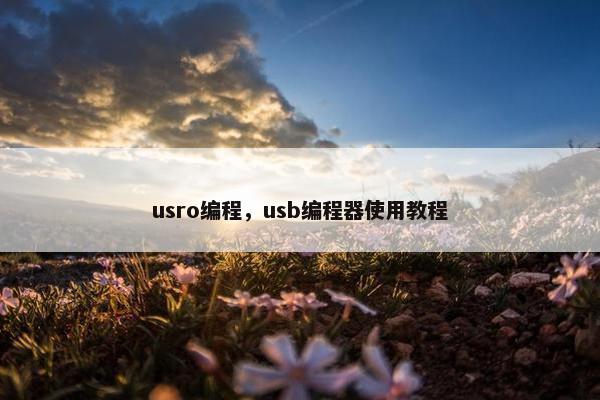 usro编程，usb编程器使用教程