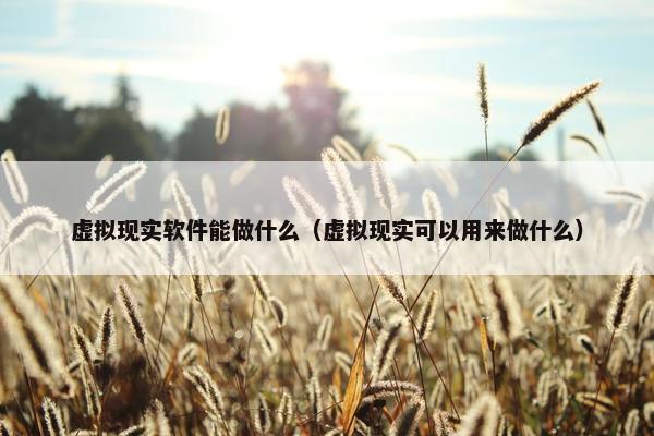 虚拟现实软件能做什么(虚拟现实可以用来做什么) 虚拟现实软件能做什么(虚拟现实可以用来做什么)