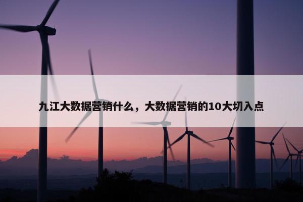 九江大数据营销什么，大数据营销的10大切入点