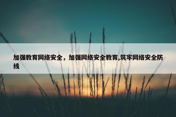 加强教育网络安全,加强网络安全教育,筑牢网络安全防线 加强教育网络安全,加强网络安全教育,筑牢网络安全防线