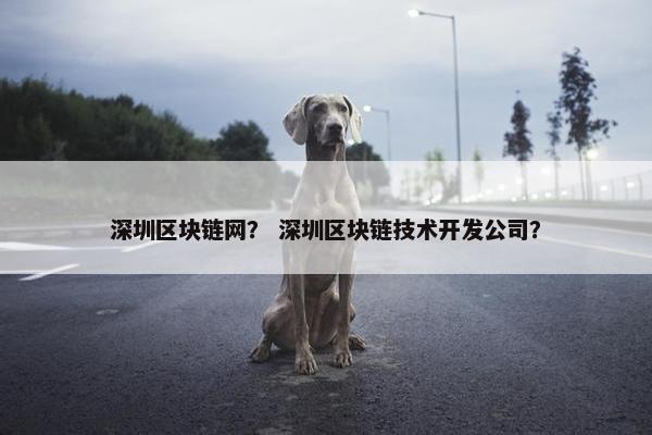 深圳区块链网? 深圳区块链技术开发公司? 深圳区块链网? 深圳区块链技术开发公司?