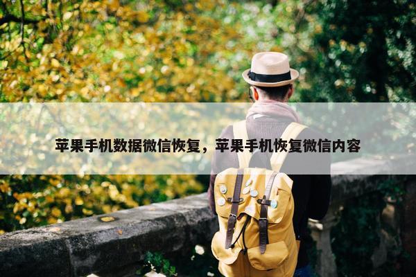 苹果手机数据微信恢复，苹果手机恢复微信内容