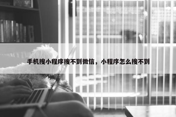 手机搜小程序搜不到微信,小程序怎么搜不到 手机搜小程序搜不到微信,小程序怎么搜不到