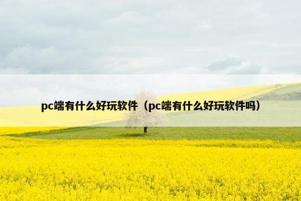 pc端有什么好玩软件（pc端有什么好玩软件吗）