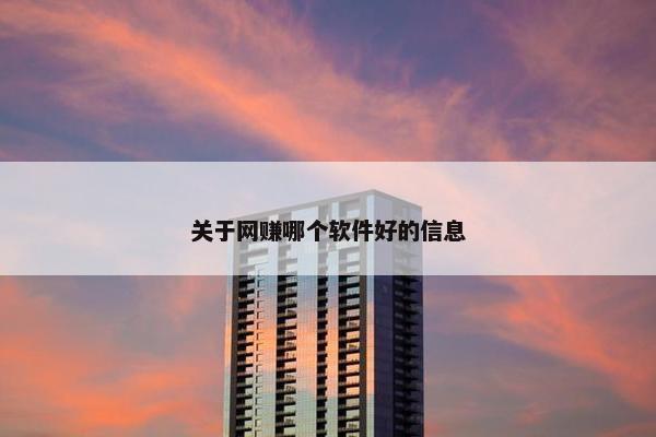 关于网赚哪个软件好的信息