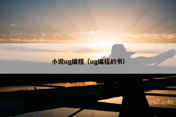 小说ug编程（ug编程的书）