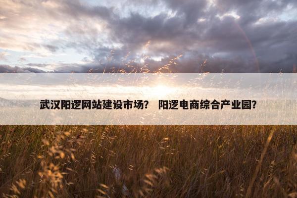 武汉阳逻网站建设市场? 阳逻电商综合产业园? 武汉阳逻网站建设市场? 阳逻电商综合产业园?