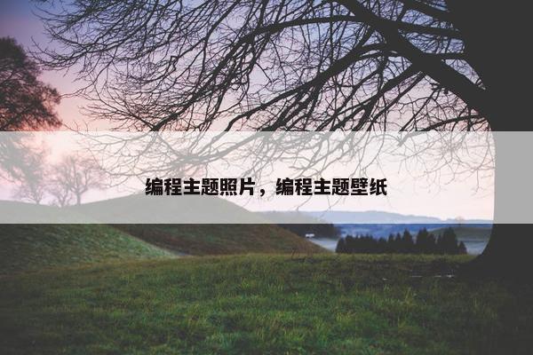 编程主题照片,编程主题壁纸 编程主题照片,编程主题壁纸