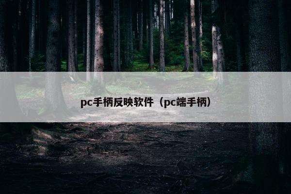 pc手柄反映软件（pc端手柄）