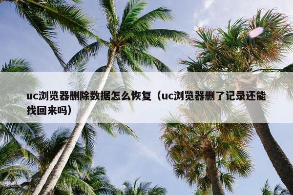 uc浏览器删除数据怎么恢复(uc浏览器删了记录还能找回来吗) uc浏览器删除数据怎么恢复(uc浏览器删了记录还能找回来吗)