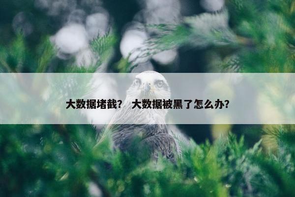 大数据堵截？ 大数据被黑了怎么办？