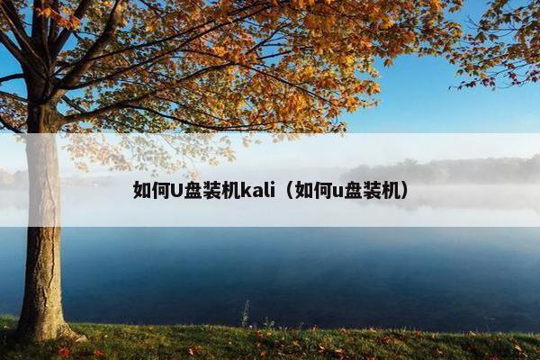 如何U盘装机kali（如何u盘装机）