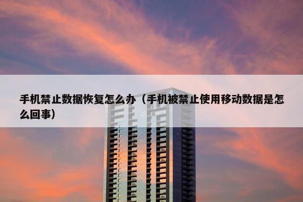 手机禁止数据恢复怎么办（手机被禁止使用移动数据是怎么回事）