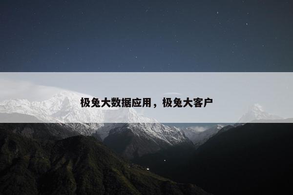 极兔大数据应用，极兔大客户