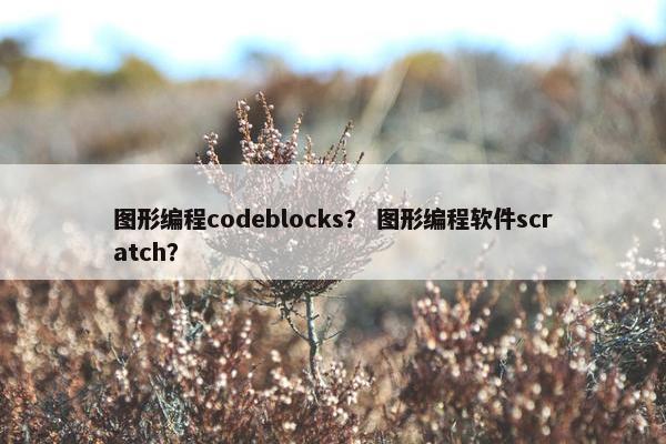 图形编程codeblocks？ 图形编程软件scratch？