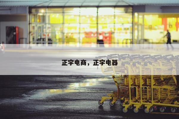 正宇电商,正宇电器 正宇电商,正宇电器