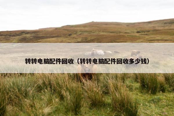 转转电脑配件回收（转转电脑配件回收多少钱）