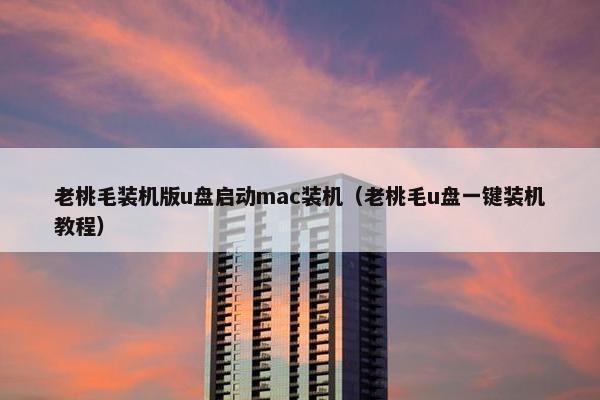 老桃毛装机版u盘启动mac装机（老桃毛u盘一键装机教程）