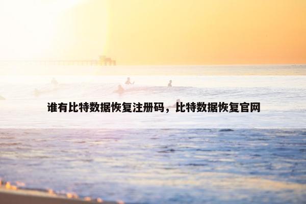 谁有比特数据恢复注册码,比特数据恢复官网 谁有比特数据恢复注册码,比特数据恢复官网