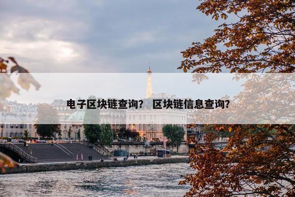 电子区块链查询? 区块链信息查询? 电子区块链查询? 区块链信息查询?