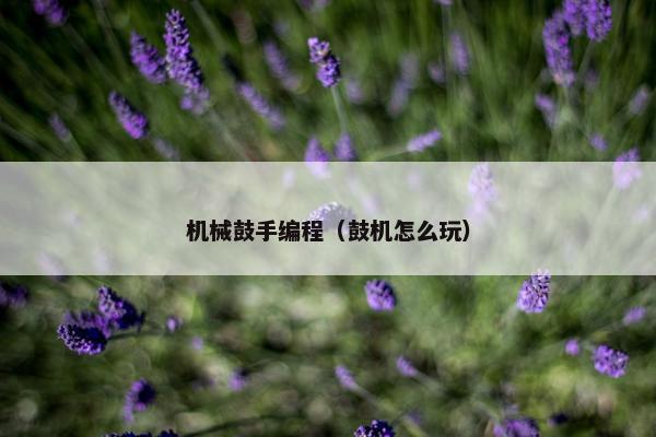 机械鼓手编程（鼓机怎么玩）