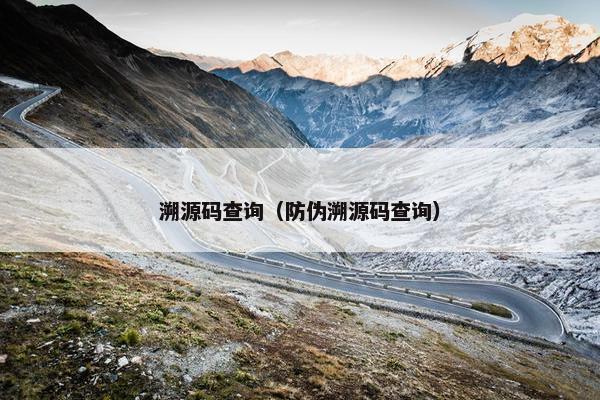 溯源码查询（防伪溯源码查询）