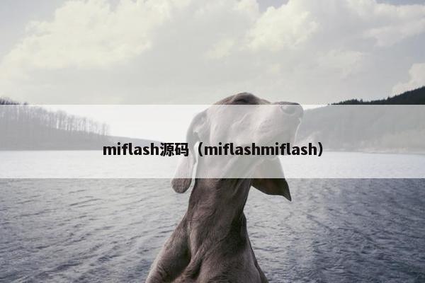 miflash源码（miflashmiflash）