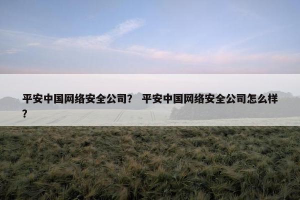 平安中国网络安全公司？ 平安中国网络安全公司怎么样？