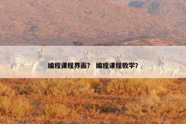 编程课程界面？ 编程课程教学？