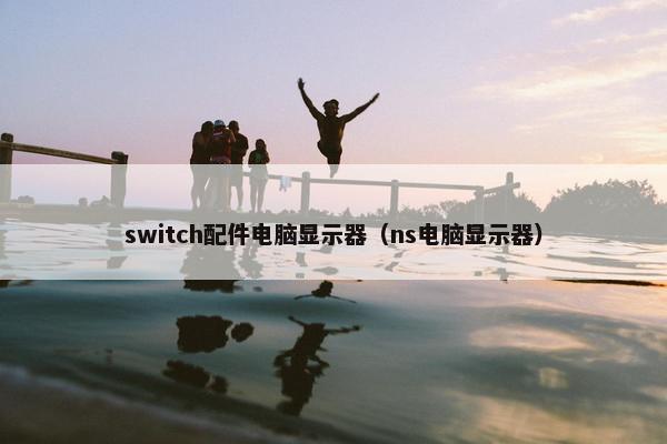 switch配件电脑显示器（ns电脑显示器）