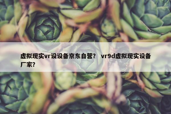 虚拟现实vr设设备京东自营？ vr9d虚拟现实设备厂家？