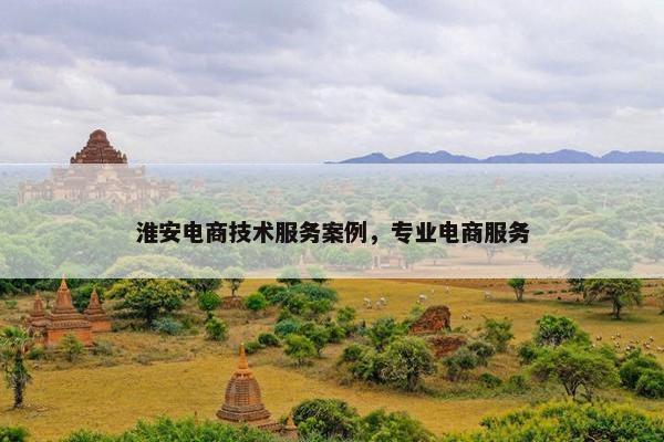 淮安电商技术服务案例,专业电商服务 淮安电商技术服务案例,专业电商服务