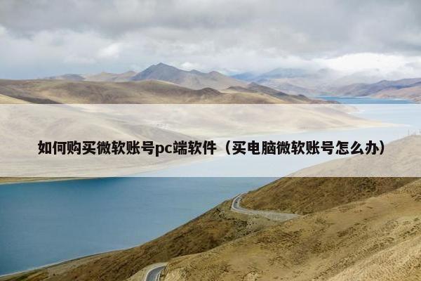 如何购买微软账号pc端软件（买电脑微软账号怎么办）